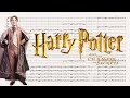 Gilderoy Lockhart - Harry Potter and The Chamber Of Secrets - John Williams (Full Score)