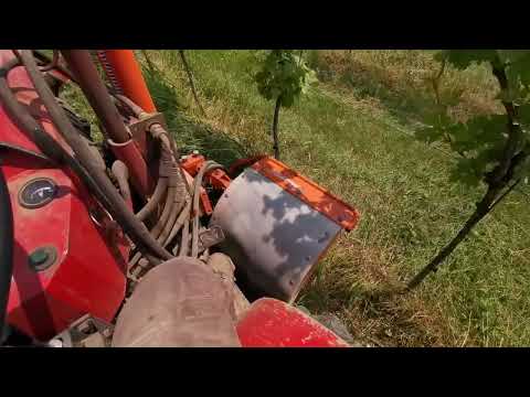 Unterstockbearbeitung Weinbau Stockbürste Stammputzer Braun Sauerburger