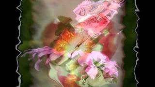 David Garrett-Vivaldi vs. Vertigo..