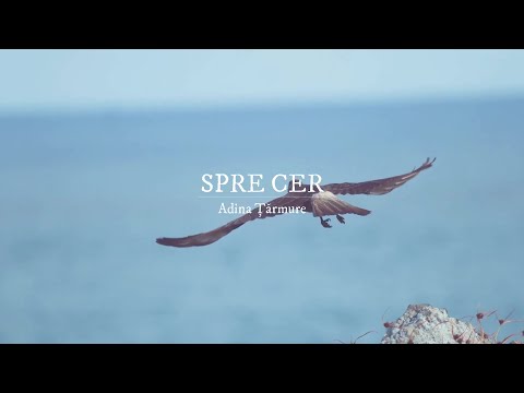 Adina Țărmure | Spre cer (Official Audio Video)
