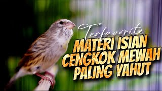 Download lagu MATERI ISIAN MEWAH JAWARA ! MASTERAN KENARI ISIAN BLACKTHROAT GACOR PALING DICARI #11 mp3