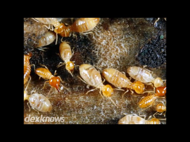 Treadway H T Inc Spring Grove - Spring Grove, PA