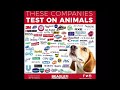 These companies test on animals (meme)