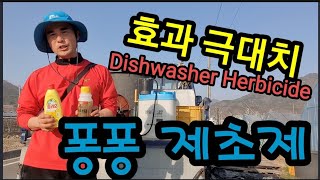 퐁퐁+제초제 겁나 빠릅니다~ Dishwasher + herbicide Super fast herbicide