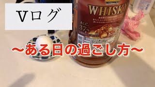 38歳、低所得、鬱、カスのある日【ブイログ】【Vlog】