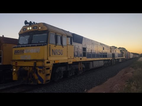 Up 1PM5 Pacific National freight with NR50 and NR72 at Inverleigh headed for Melbourne 11/12/2024