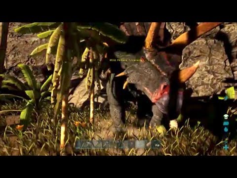 Episode 12: Lucky Triceratops Tame - Ark: Ragnarok Survival Guide
