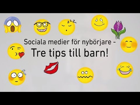 På skärmen: sociala medier för nybörjare av Johanna Stenius och Petra Jankov