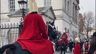 Regal Transformation: Changing Kings Guard Horse Ceremony in London&#39;s Horse Guard Parade! 🏰🐎