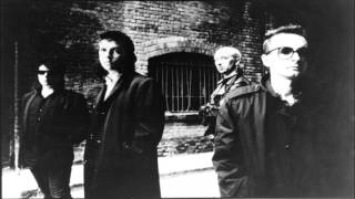 Cactus World News Maybe This Time Live at the Project Arts Centre Dublin 28-06-85