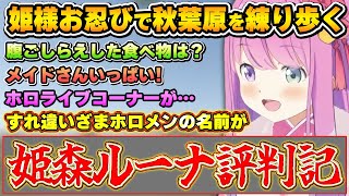 久々に降り立った秋葉原での出来事を話すルーナ姫【姫森ルーナ/ホロライブ切り抜き】