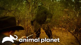 Finding Bigfoot FOOTPRINTS 👣  | Finding Bigfoot | Animal Planet