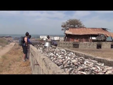 Gambia in 5 day`s  (english Subs)