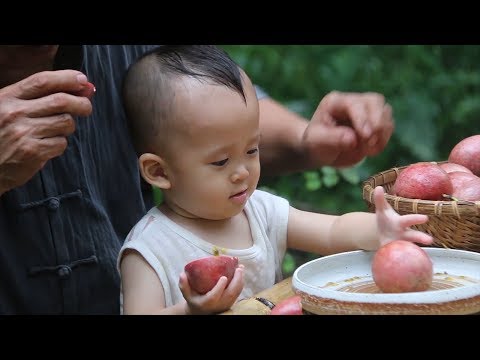 大山深处藏匿者一处白果园，硕果累累，僻静之处吃个够
