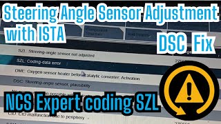 Steering Angle Sensor Adjustment & SZL Coding With Ncs Expert & Fix DSC Error On Dash