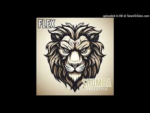 23Flex_-_Shumba freestyle (tokuStubber)