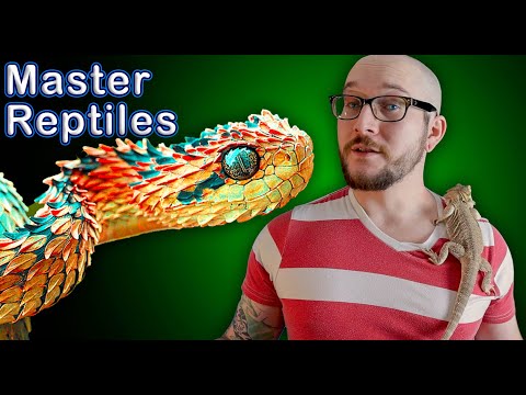 Top 5 HARDEST TO KEEP Master Level Reptiles