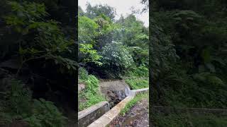 Download lagu Ada Curug Kecil di pinggir Jalan Naringgul Cianjur Selatan #naringgul #cianjurselatan mp3 Download lagu Ada Curug Kecil di pinggir Jalan Naringgul Cianjur Selatan #naringgul #cianjurselatan mp3