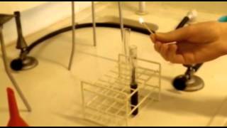 Ontledingsreactie: 2 H2O2 = 2 H2O + O2  Katalysator: MnO2