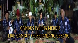 Download lagu SHOLAWAT GAMBUS MERDU ][ kumpulan lagu gambus || live gambus og sepanjang gesang mp3