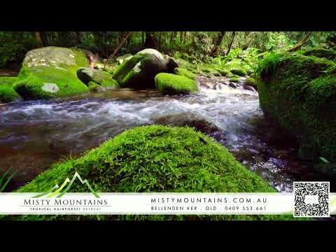 Misty Mountains Rainforest Retreat: QR Code for Direct Booking (2024)