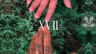 Miel Music Video