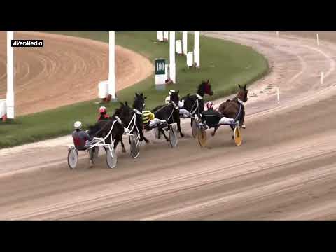 Corsa proprietari senza licenza - martedì 29 novembre 2022