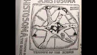 Schistosoma  - Untitled (Early 1990's Polish Abstract Experimental- Noise )