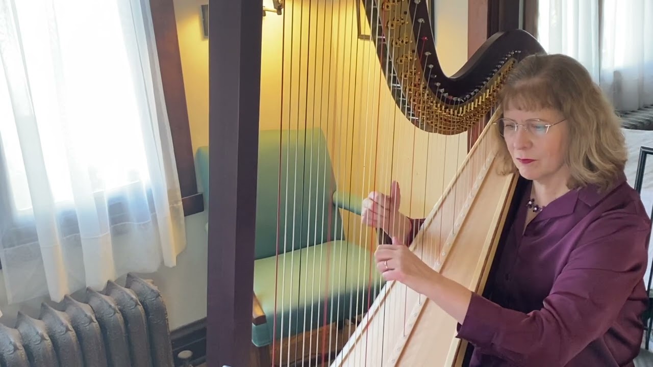 Promotional video thumbnail 3 for Renee Wilson, Harpist