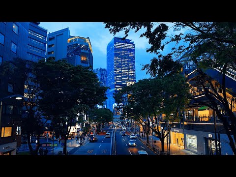 【都会の音】渋谷明治通りの交通音/環境音｜Traffic Sounds at Tokyo Shibuya Meiji-dori【作業用/睡眠用BGM】