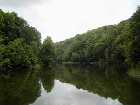 Nature - Dognecea, Romania