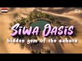 Siwa Oasis, Egypt | Vlog | Discovering the Hidden Treasures of the Sahara