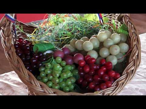 Naša priča ep. 293 01.04.2021. Udruženje vinara i vinogradara "Sveti Trifun", Dolovo