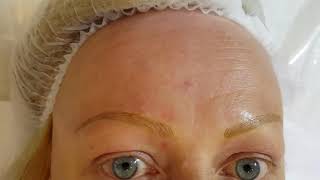 Blonde neat Eyebrows Microblading by El Truchan @ Perfect Definition