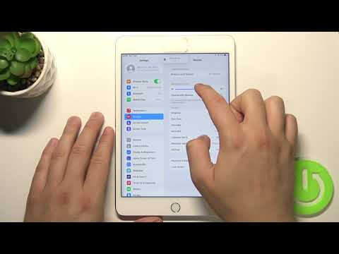 How to Customize Ringtone Volume on iPad mini 4 – Manage Sound Settings