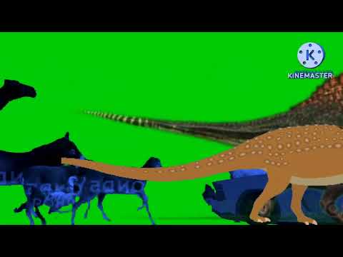 Animals stampede Green screen