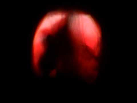 download lagu mp3 mp4 Fantaskop 1 2011, download mp3 Fantaskop 1 2011 free download, download mp3 Fantaskop 1 2011