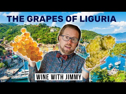 WSET Level 4 Diploma Italy Liguria Part 3: The Grapes