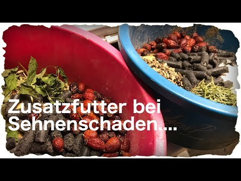 Zusatzfutter bei Sehnenschaden.... so unterstützen wir die Heilung