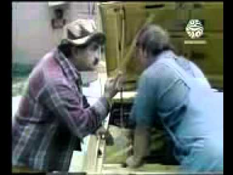 Chinche y Eutimio Capitulo 245 FINAL