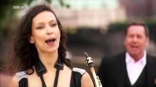 Roland Kaiser - Ich feg die Sterne vom Himmel