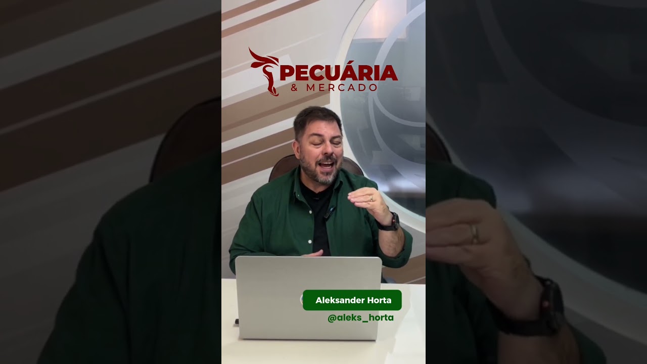 Preço da arroba do boi gordo segue firme com R$350 em são paulo #boigordo #pecuária #arrobadoboi