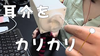 【ASMR】【音フェチ】耳介のみ耳かき ear cleaning 【No talking】