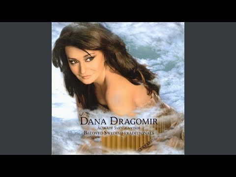 Visa vid midsommartid