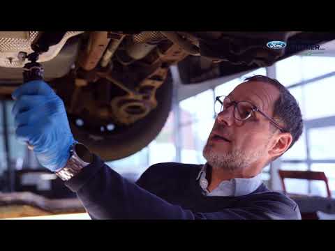 Autohaus Timmer Ford Video Check 4k