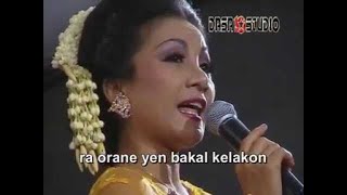 Download lagu Minul - Bocah Gunung mp3 Download lagu Minul - Bocah Gunung mp3