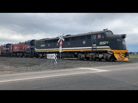 Up BG SSR Grain Train With S312 P18 P16 B75 At Scanlons Road Bannockburn (18/8/22)