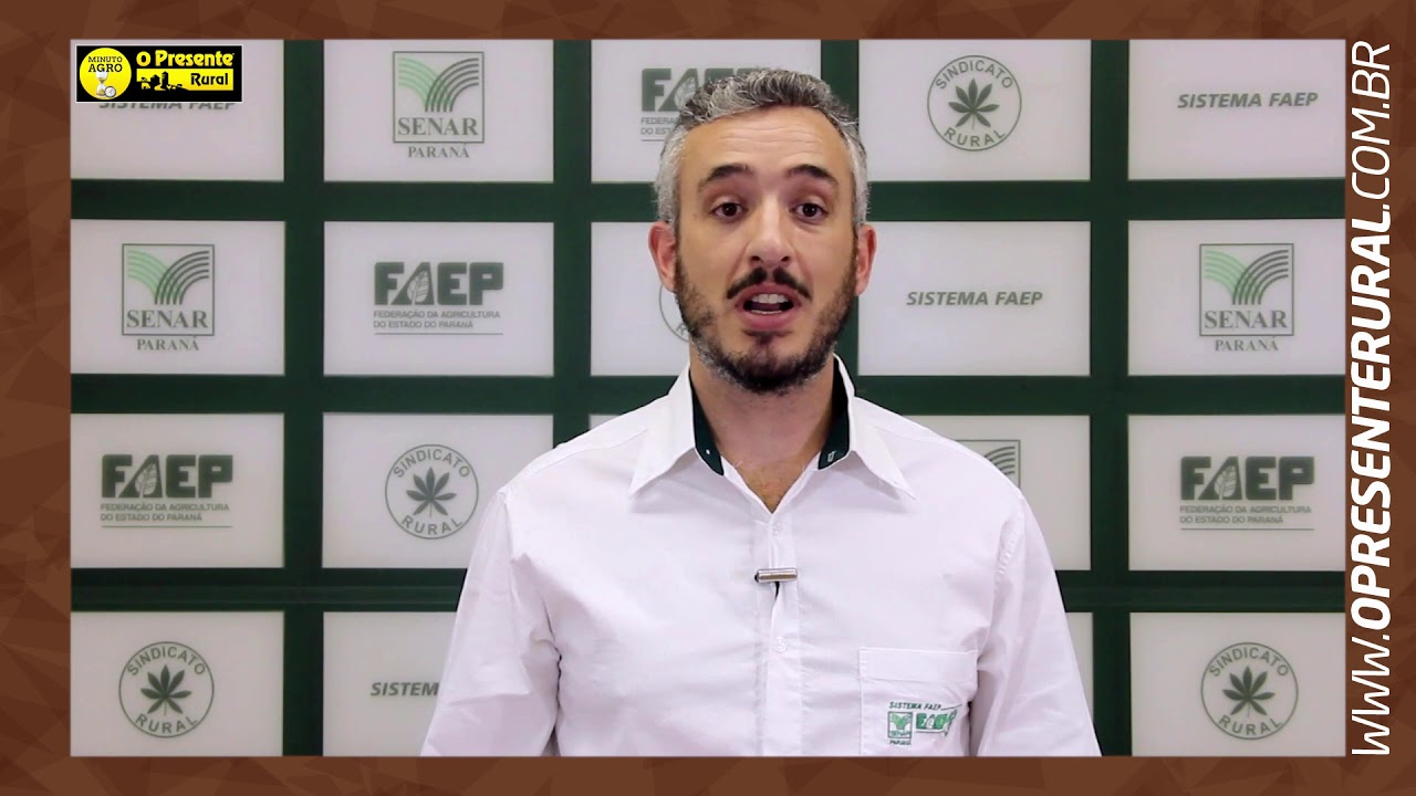 Mercado do leite e as expectativas para 2021 – Minuto Agro Bovinos