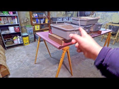 Original population of red wiggler worms at day-135 - vermicompost