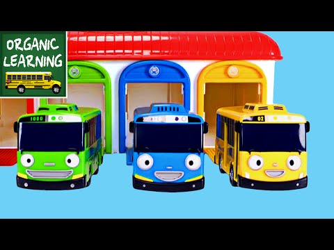 Learning Colors Street Vehicles for Kids - Learn Colours with The Little Bus Tayo 꼬마버스 타요